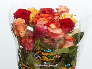 ROSE SEASONS AUTUMN MIX 50